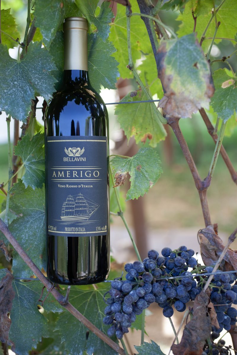 Amerigo – foto e video